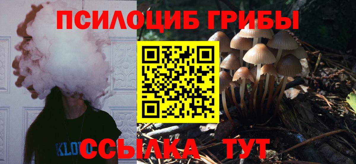 Галлюциногенные грибы прущие грибы Карпинск